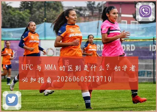 UFC 与 MMA 的区别是什么？初学者必知指南_20260605213710