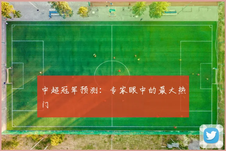 中超冠军预测：专家眼中的最大热门