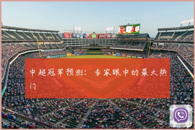 中超冠军预测:专家眼中的最大热门