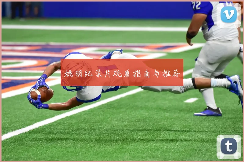 姚明纪录片观看指南与推荐